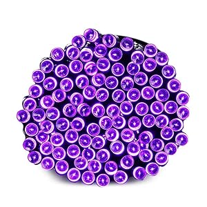 purple string lights