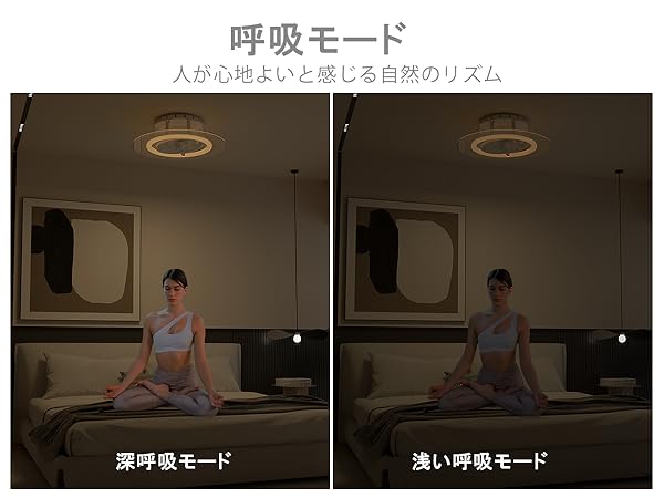 Amazon.co.jp : ORALUCE 導光板 シーリングファンライト 12畳 首