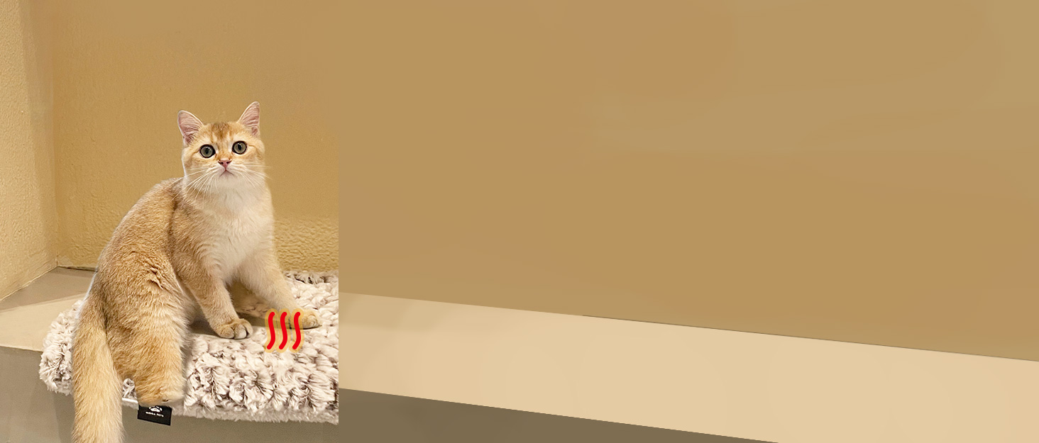 self heating warming cat bed pad mat cat bed for indoor cats