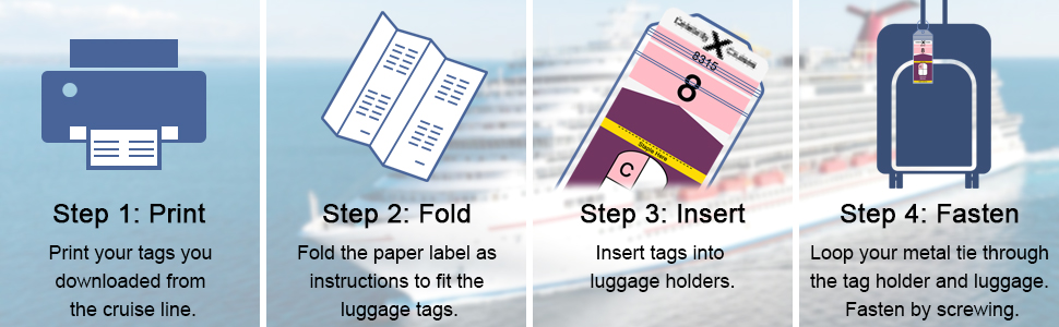Wisdompro Cruise Luggage Tag Holder, 5 Pack Clear Waterproof Luggage Tags with Z... 11 cruise luggage tags for royal caribbean