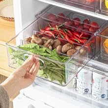 refrigerator organizer
