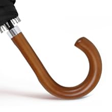 Stockschirm