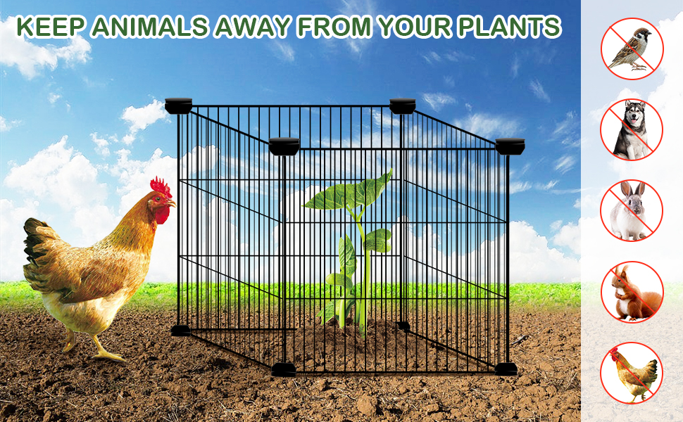 plant protector