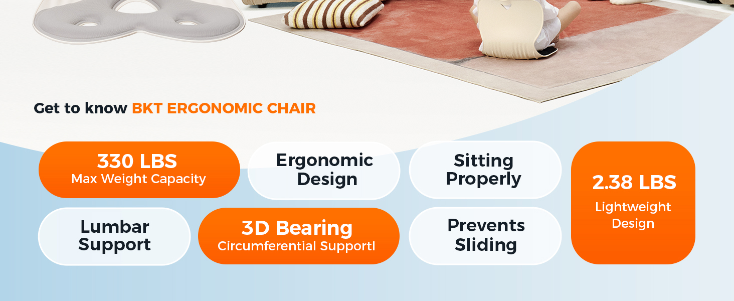 Ergonomic chair Back Support