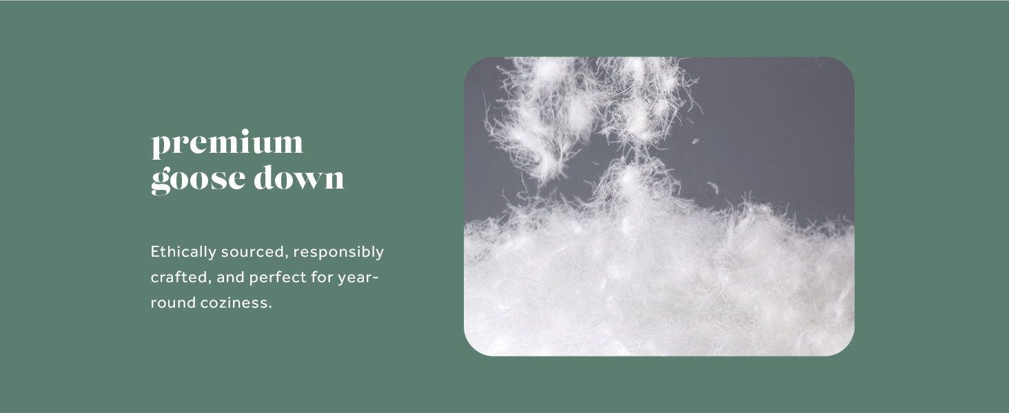 ComfyDown Goose Down White Comforter - All Season Washable Duvet Insert with Corner Tabs - King
ComfyDown Goose Down Whi 4b369a53 C642 440c 881a 0f7549dd9a6d. CR0,0,1464,600 PT0 SX1464 V1