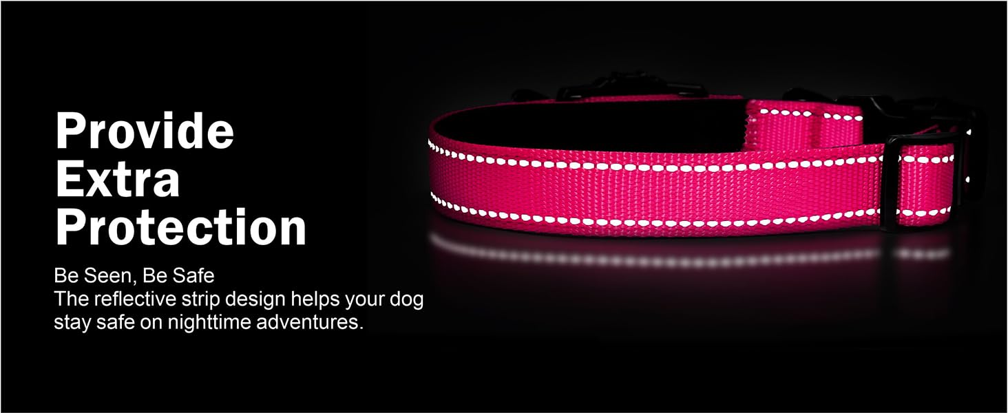 airtag dog collar