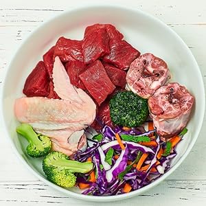 Dog food guide 