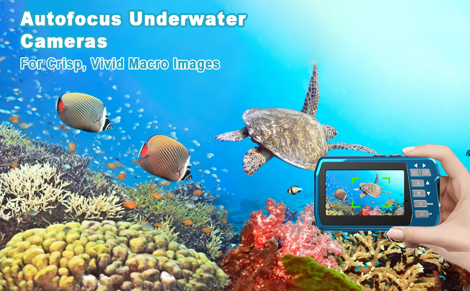 underwater camera 