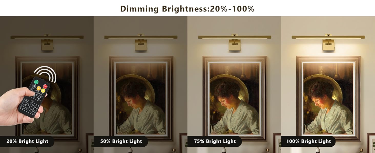 battery operated picture light