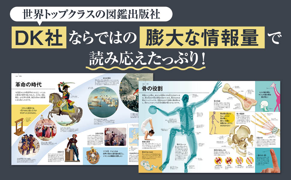 Amazon.co.jp: 見るだけで世界がわかる大図鑑 : DK社: 本