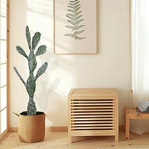 Nala ナラ　Cactus all in one 715EtQsheUL._UF350,350_QL80_.jpg