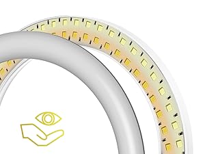 10" dimmable desk ring light with 3 color lighting modes and 10 brightness levels