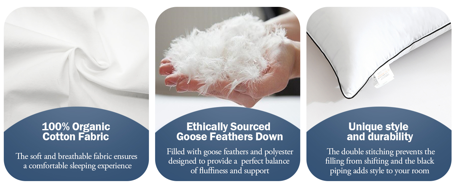 BPC™ Medium Firm Goose Down Pillows Queen Size Set of 2