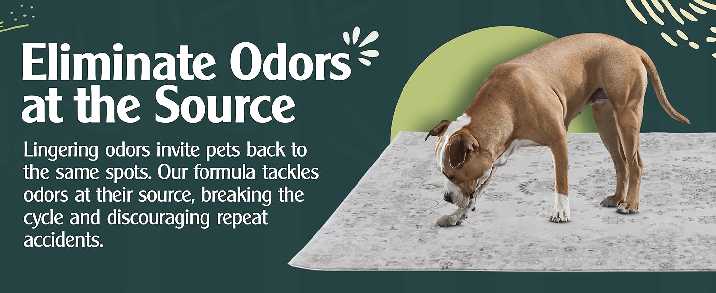 removal defoamer outdoor striker enzymatic big vacuuming - area ds foam love my foaming odor