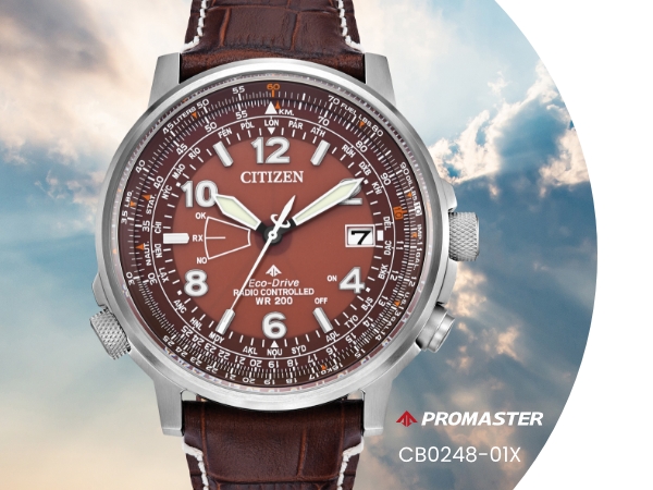 Amazon.com: Citizen Men's Eco-Drive Promaster Eco Sky