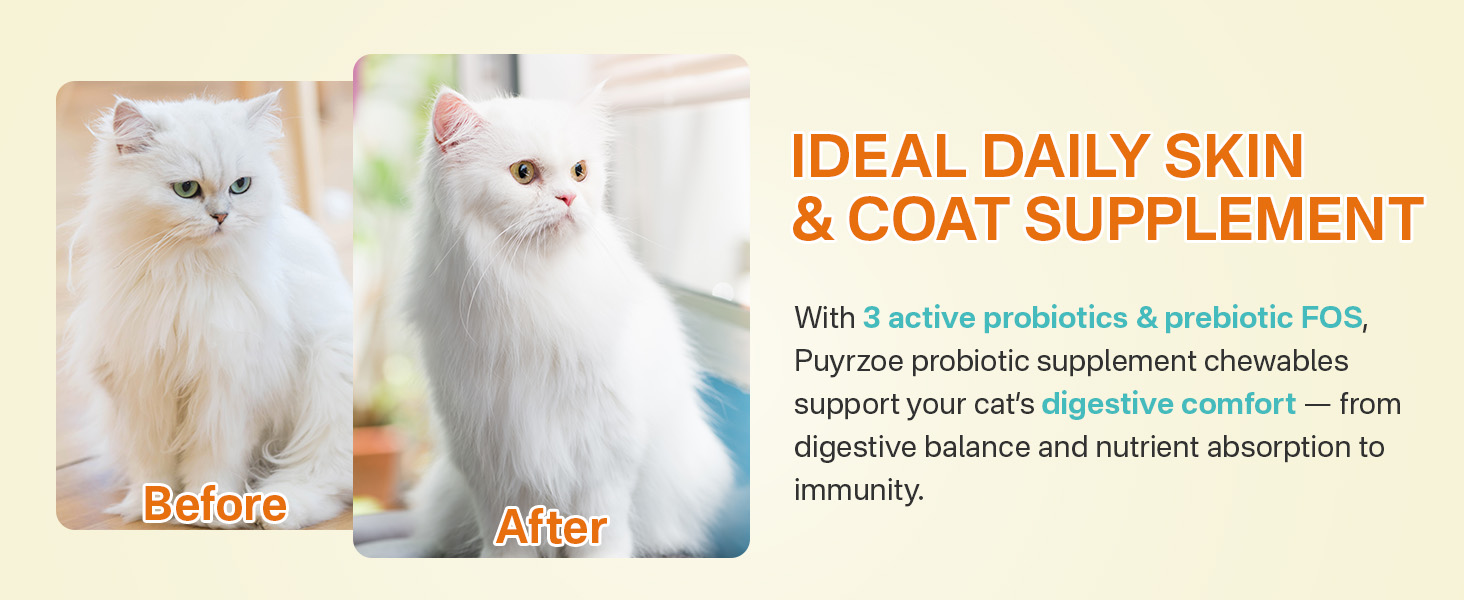 cat probiotic