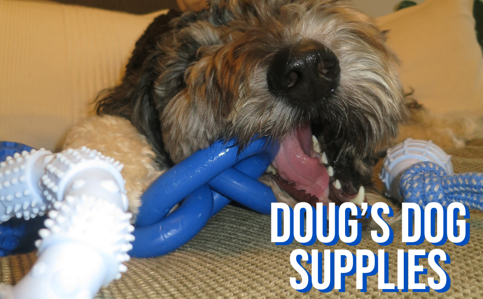 kong dog toys, dog toys, chew toys for aggressive chewers, squeaky dog toys dog enrichment toys