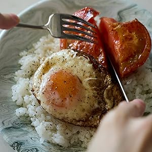 のせごはんとかけごはん