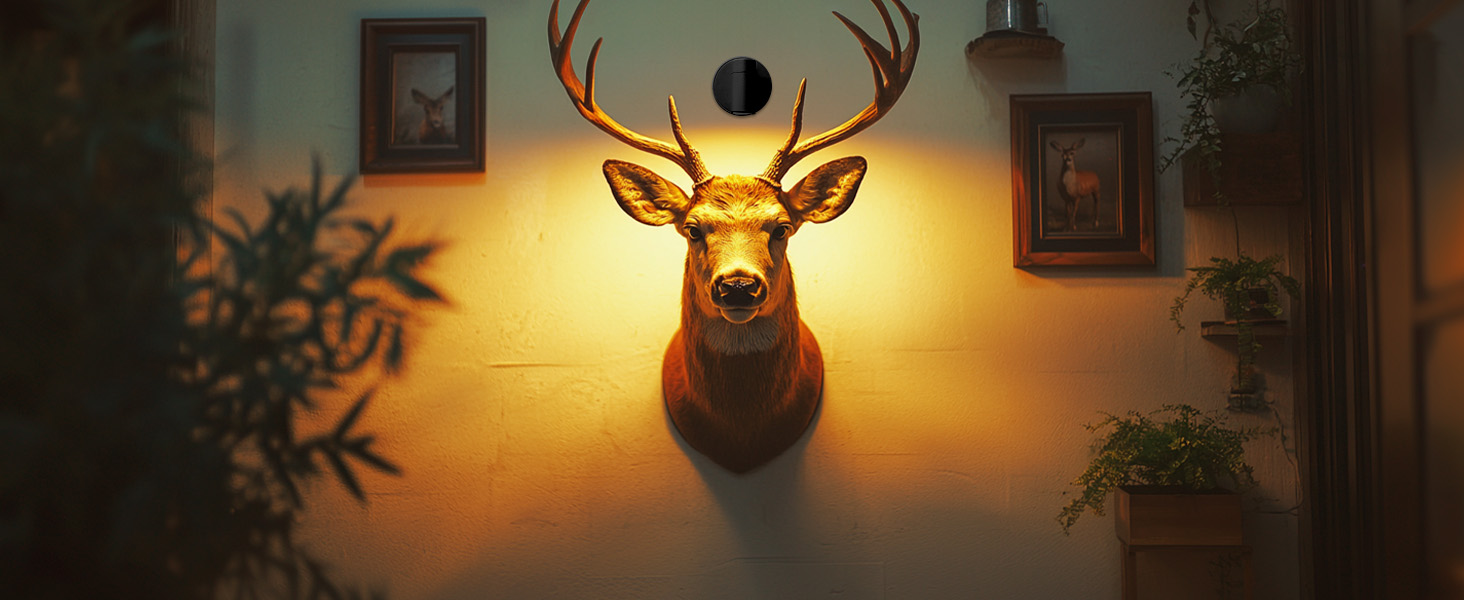 led spotlight