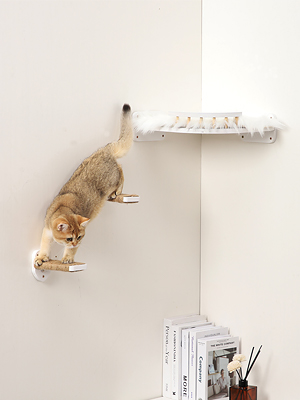 cat wall shelves