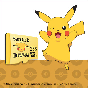 Switch Lite + 256GB microSD + ポケモンバイオレット Switch Lite + 256GB microSD + ポケモンバイオレット Nintendo