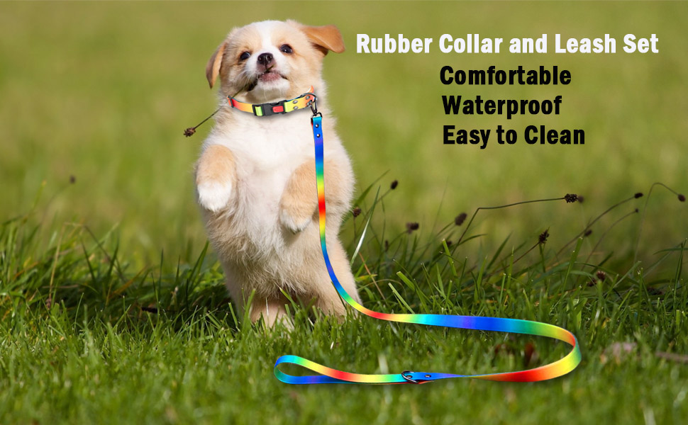 Rubber Waterproof Dog Collar and Dog Leash Set for Small