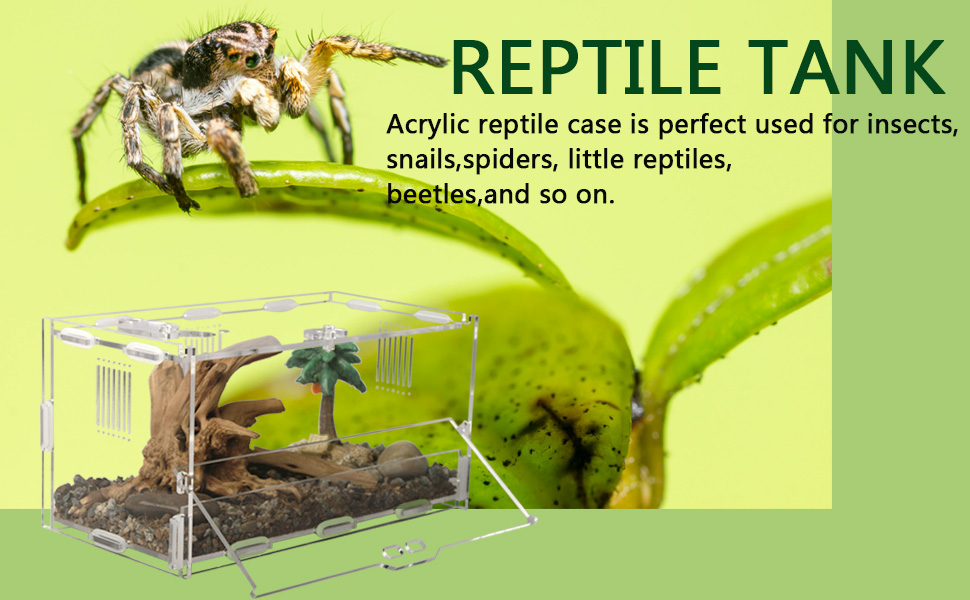 reptile terrarium