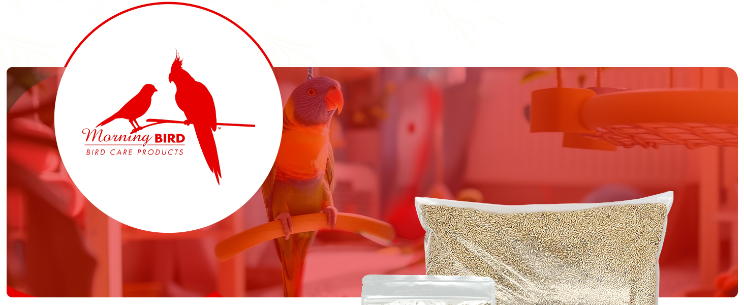 Canary seed for birds