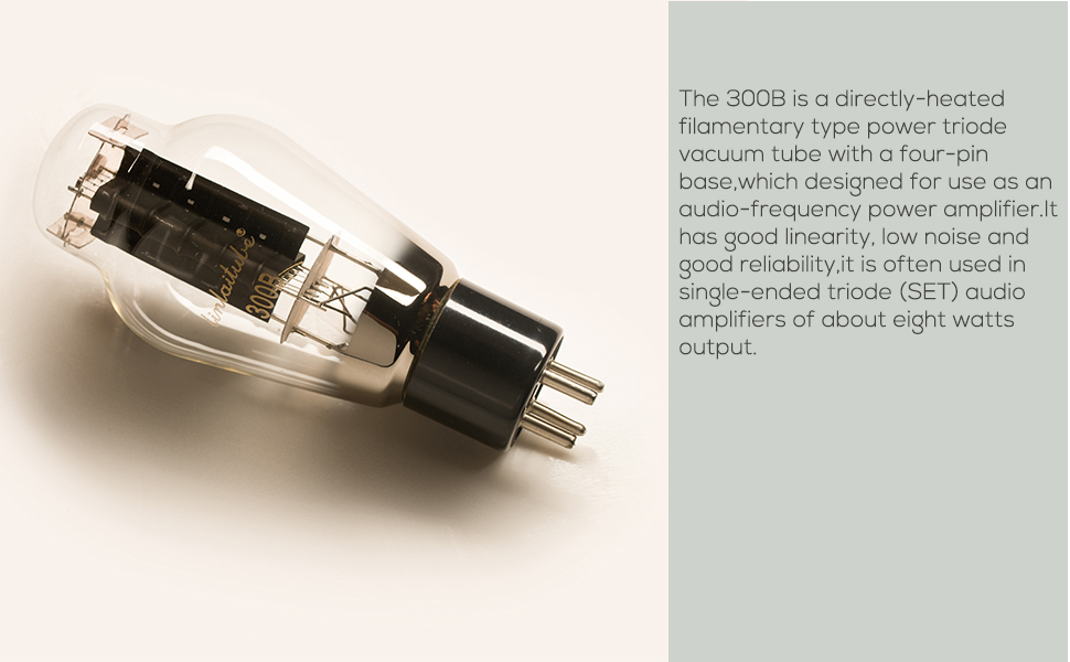 Amazon.com: LINLAI 300B 1 Pair Vacuum Hifi Valve Electronic