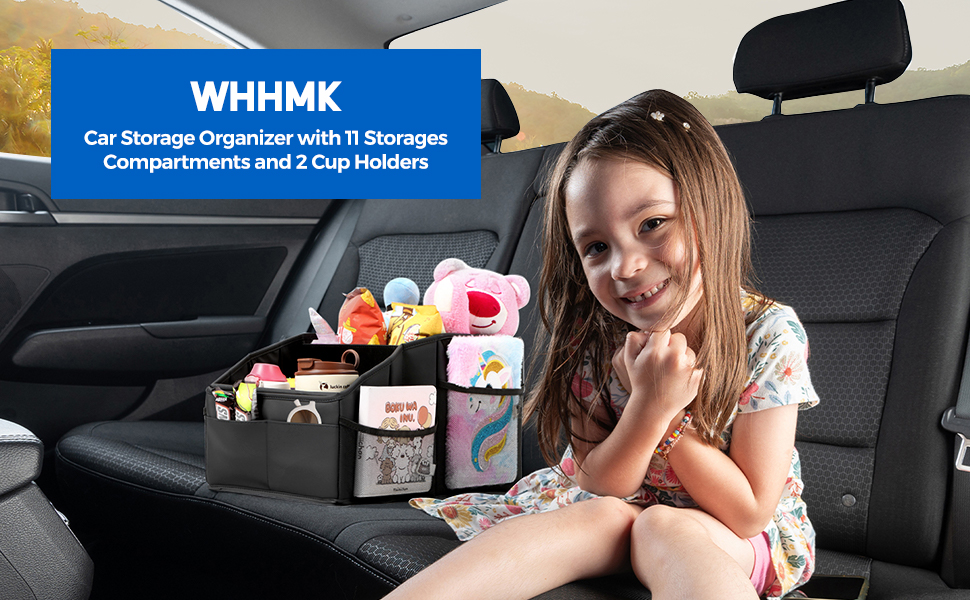 car storage organizer
