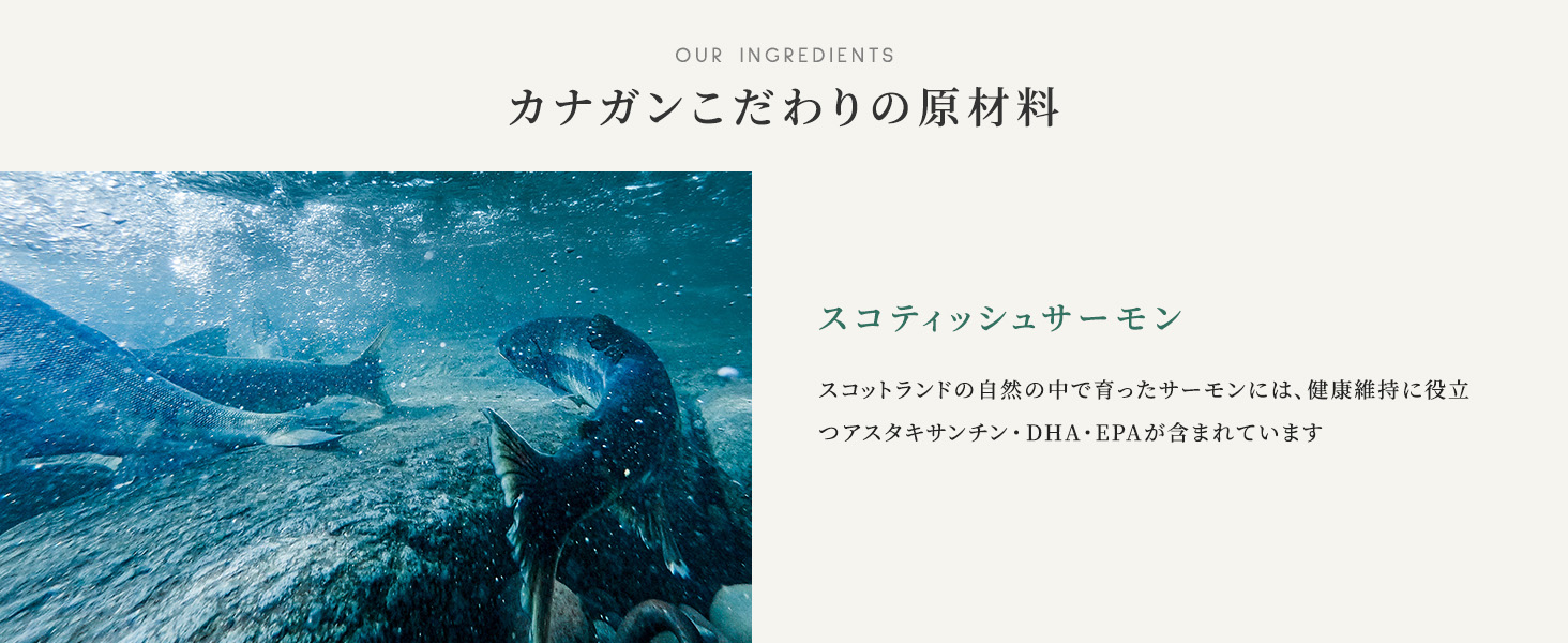 カナガンチキン