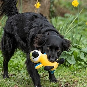 Petface Planet Plush Parrot Dog Toy