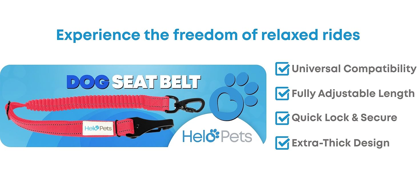 dog seat belt