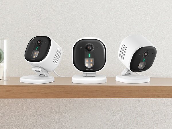 Indoor Outdoor security camera
