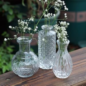 Glass Bud Vases Set of 32,Small Flower V... 17 3