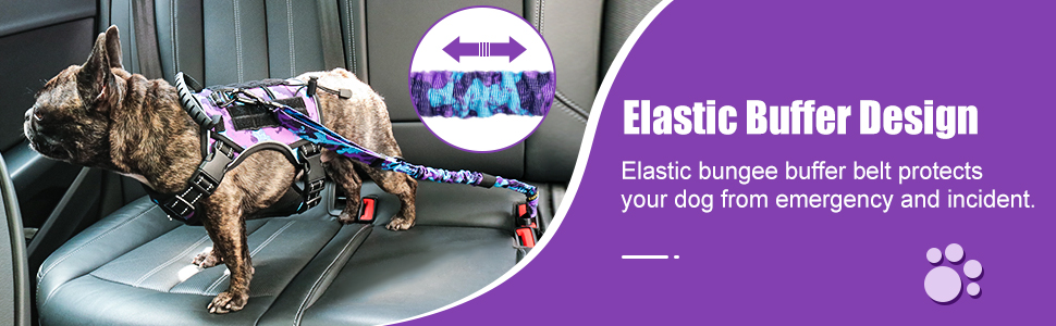 dog seatbelt for dogs in car