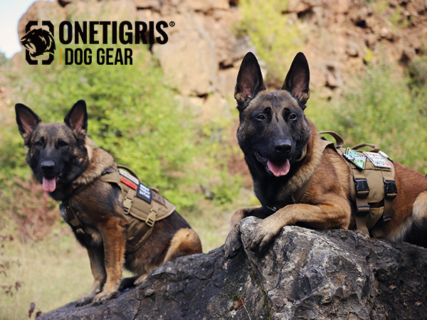 Amazon.com : OneTigris Tactical Large Dog Harness, 5X Metal
