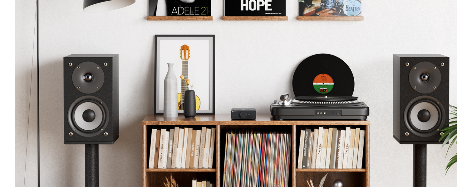 V3 Amplificador de potencia Hi-Fi