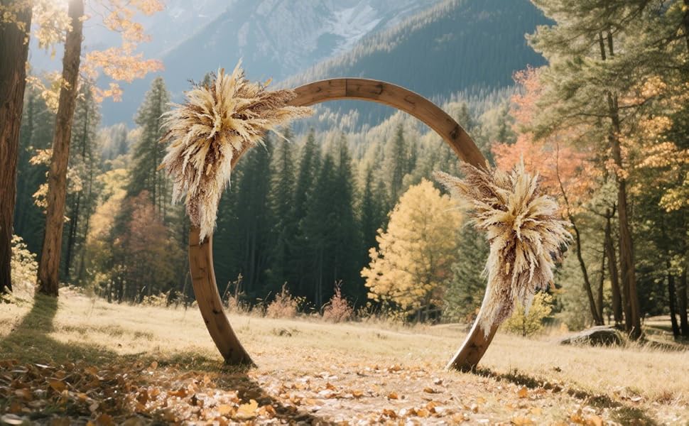 dried flowers arch arrangement