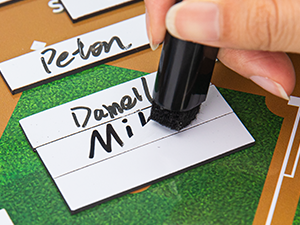 Baseball Lineup Board