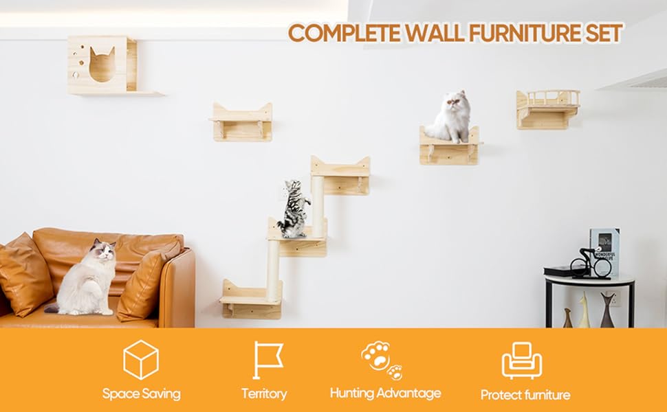 Cat Wall Furniture Set