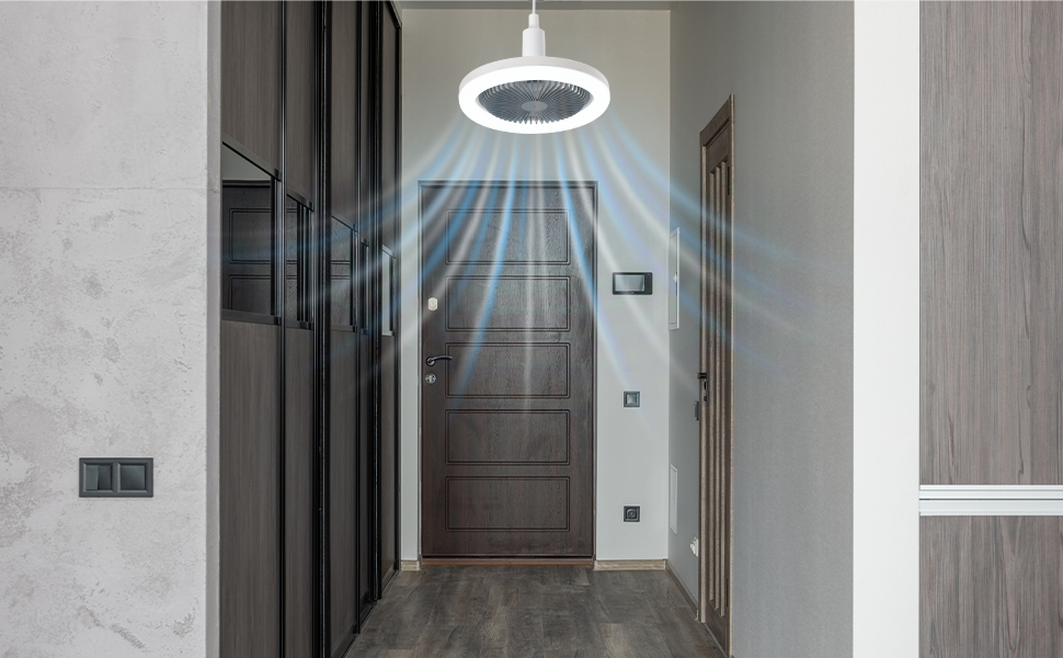 Socket Fan Light 10", Socket Fan Ceiling Fan With Light