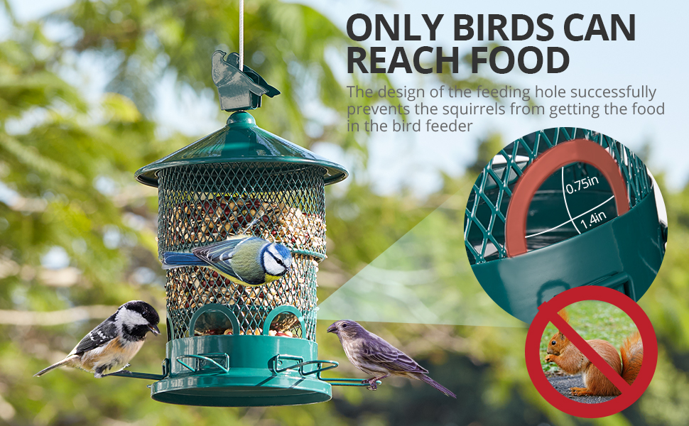 Squirrel Proof Wild Bird Feeders Upgraded Outdoors