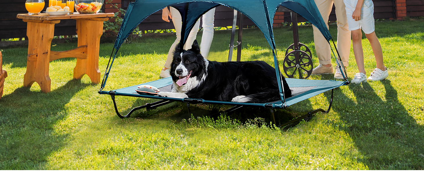 elevated dog cot