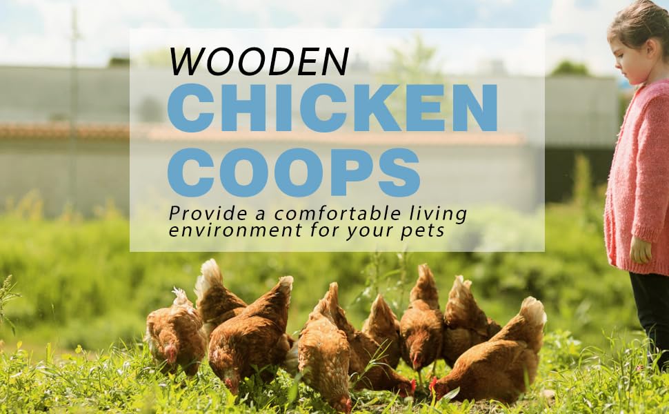 chicken coops for 6 chickens