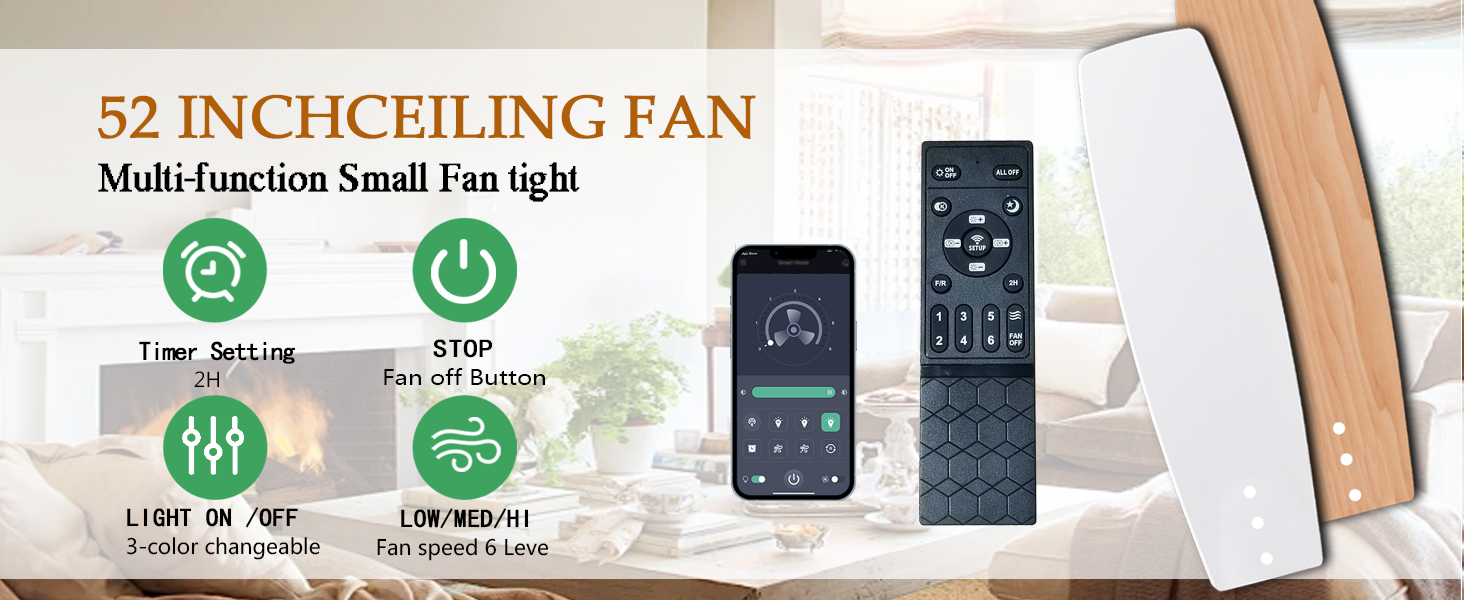 ceiling fan