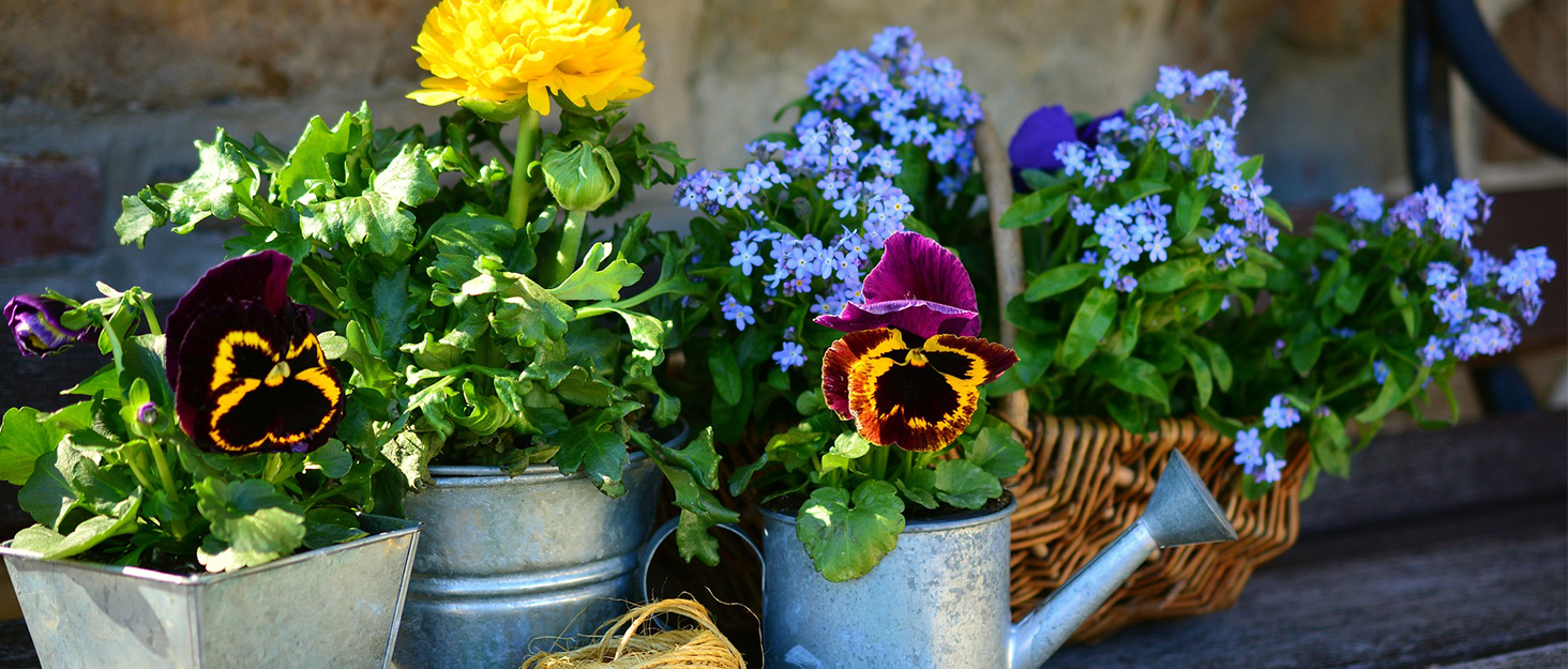Gardening Tools