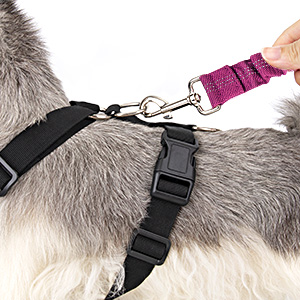 hundegeschirr für mittlere hunde 