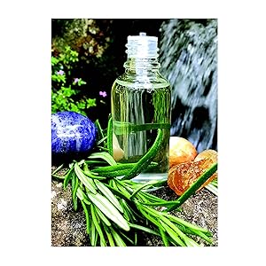 Rosemary