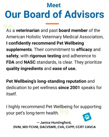 vet-recommended, vet-formulated, recommend pet wellbeing products, rigorous testing, safety, 2001